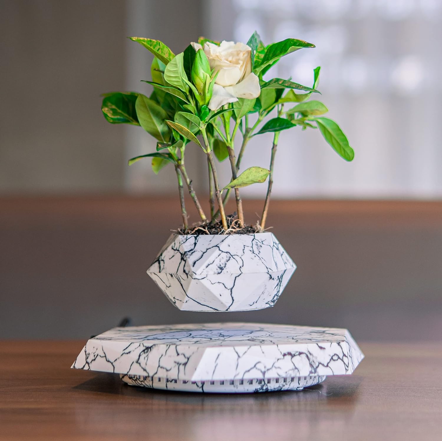 Home Levitating planter turning above its base on a wooden desk